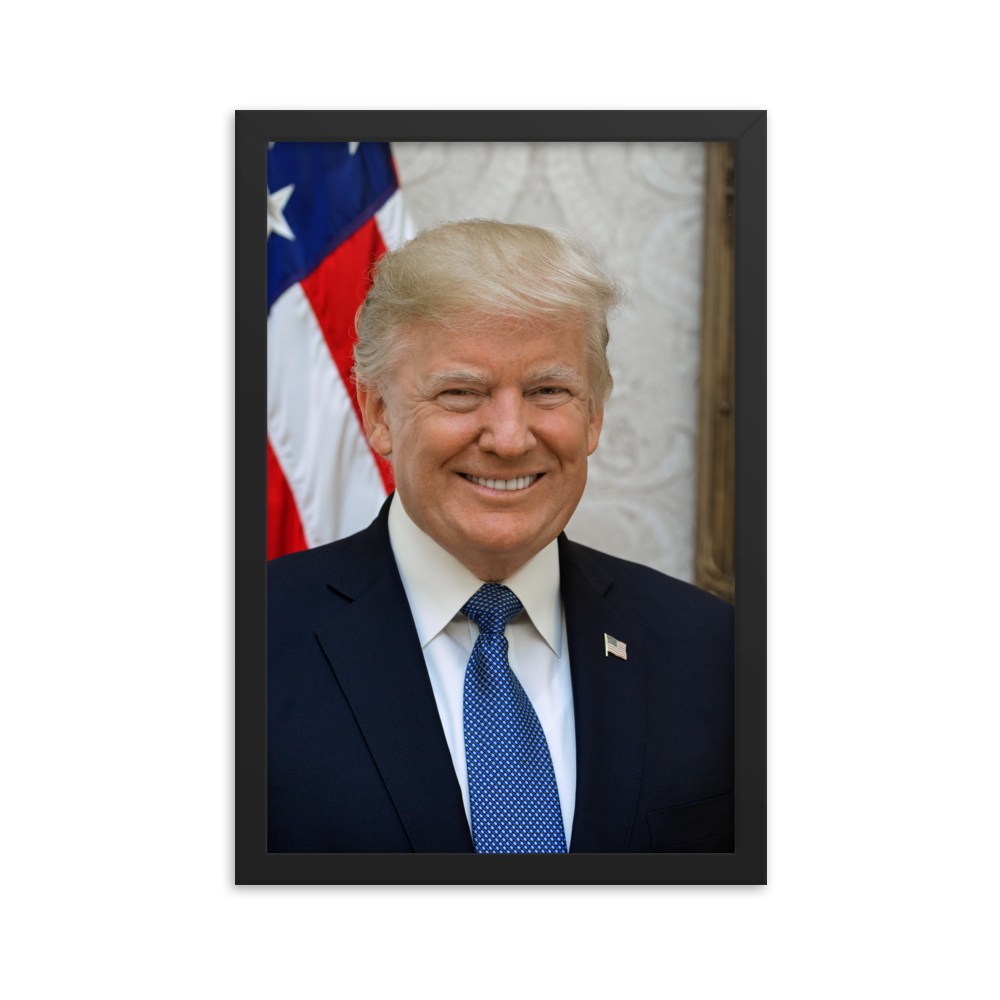 Framed Official Presidential Portrait President Donald J. Trump (2 Sizes Available)